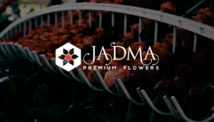 Jadma Premium Flowers